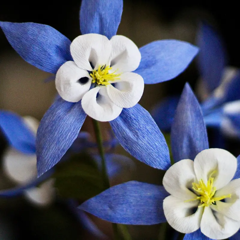 Crepe Paper Flowers - Columbine New! In-Store Class Apr 11 1