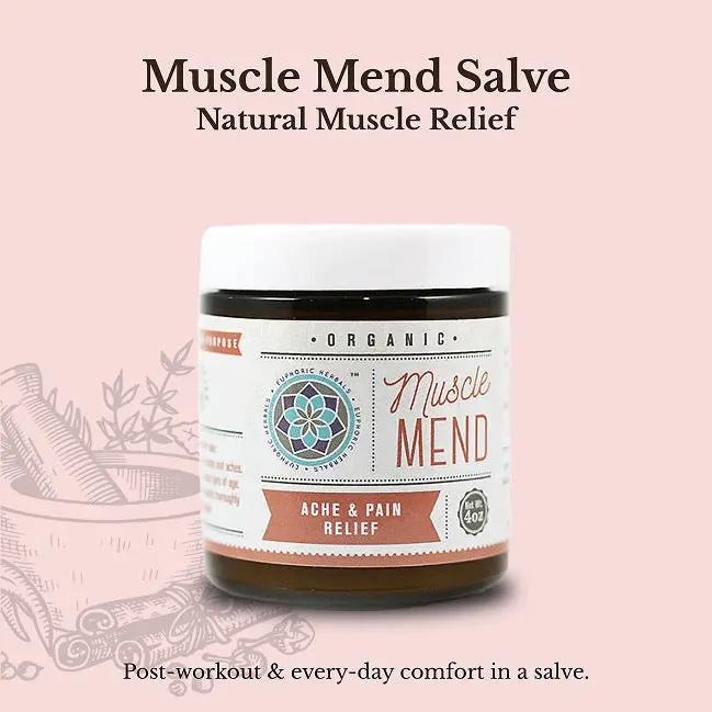 Euphoric Herbals Muscle Mend Salve 1