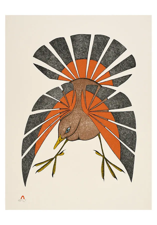 Fall Plumage Small Boxed Cards By  Aoudla Pudlat 1
