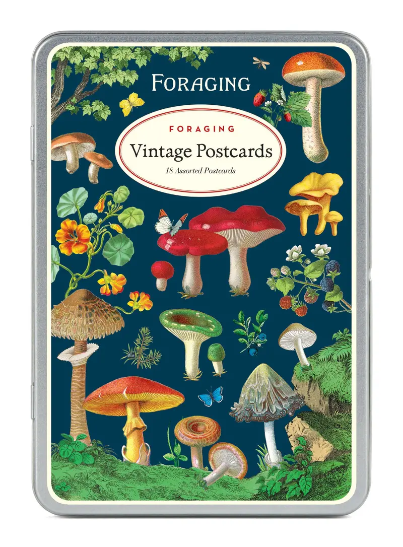 Foraging Vintage Postcards By Cavallini & Co. 1