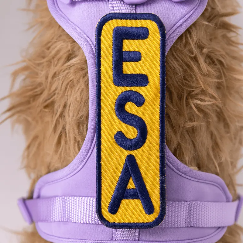 K9 Sport Sack Esa 2X6 Patch 1