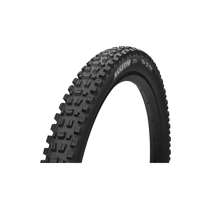 Maxxis Assegai 3C Maxx Terra Exo+ Tubeless Tire 1