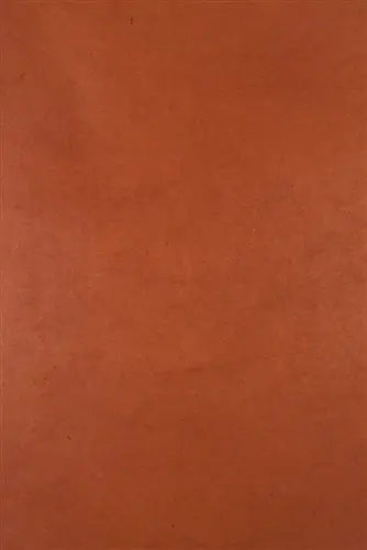 Solid Color Lokta Paper- Terra Cotta 1